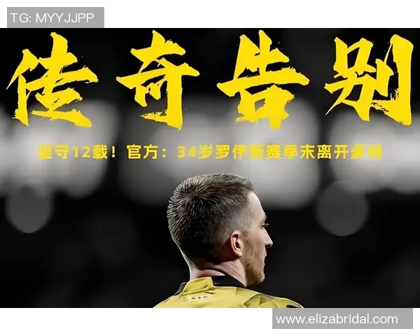 天下足球球星珍藏版图片集 揭开足球明星背后的荣耀与传奇