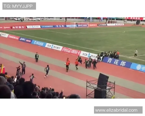 球星因不满判罚冲撞裁判引发争议事件分析